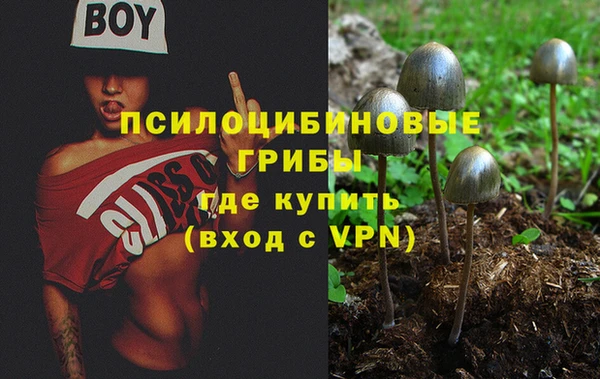 2c-b Заволжск